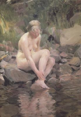 Anders Zorn Dagmar (nn03)